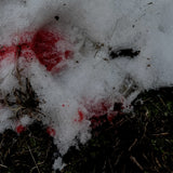 bloody/wine boot print in the snow and mud