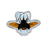 Atlas Beetle Holo Circle Sticker