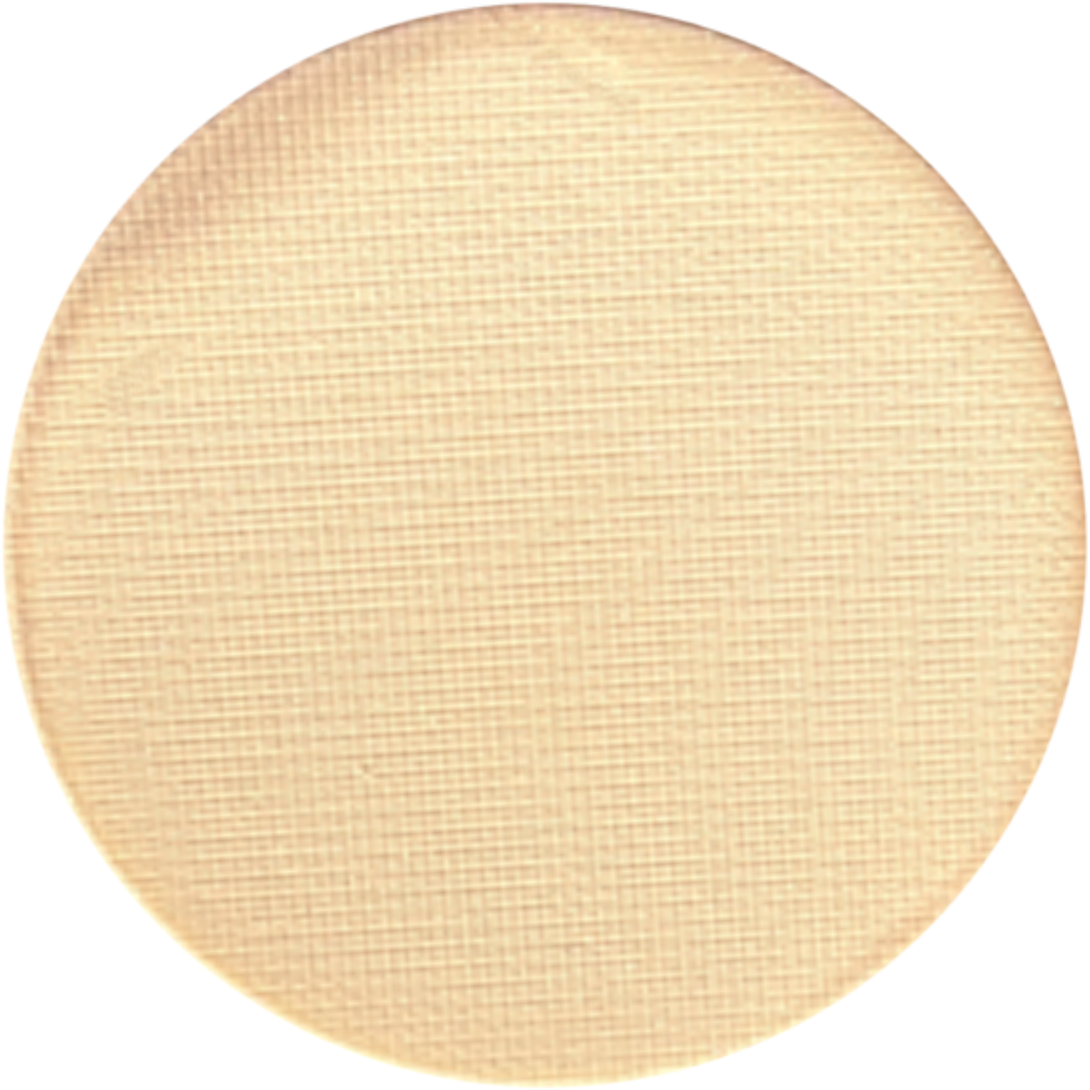 Grave Dust Pressed Pigment Pan