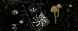 HOLOGRAVE COSMETICS FAERIE RING PALETTE WITH MUSHROOM RING branding on a dark background with glowing mushrooms.