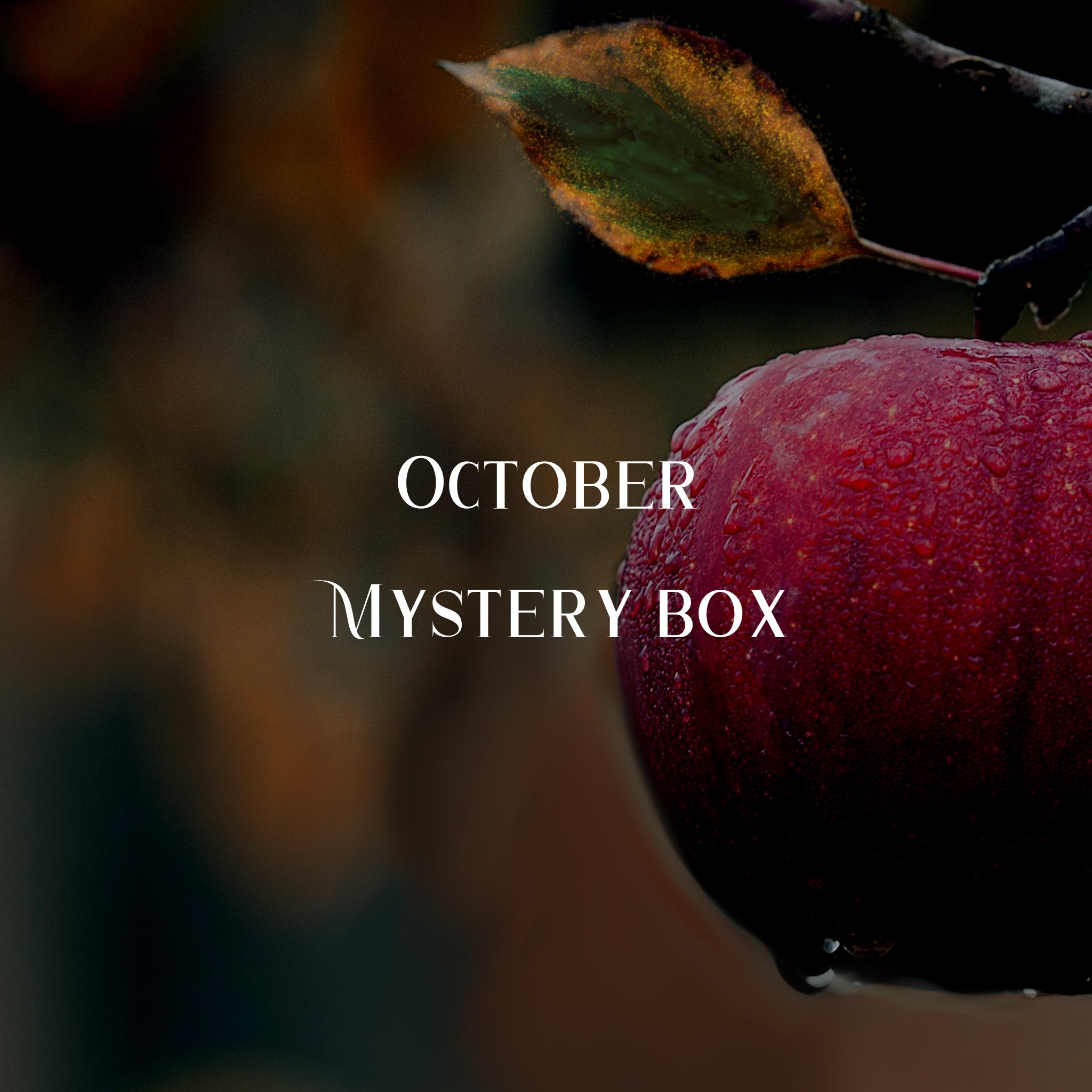 October Mystery Box