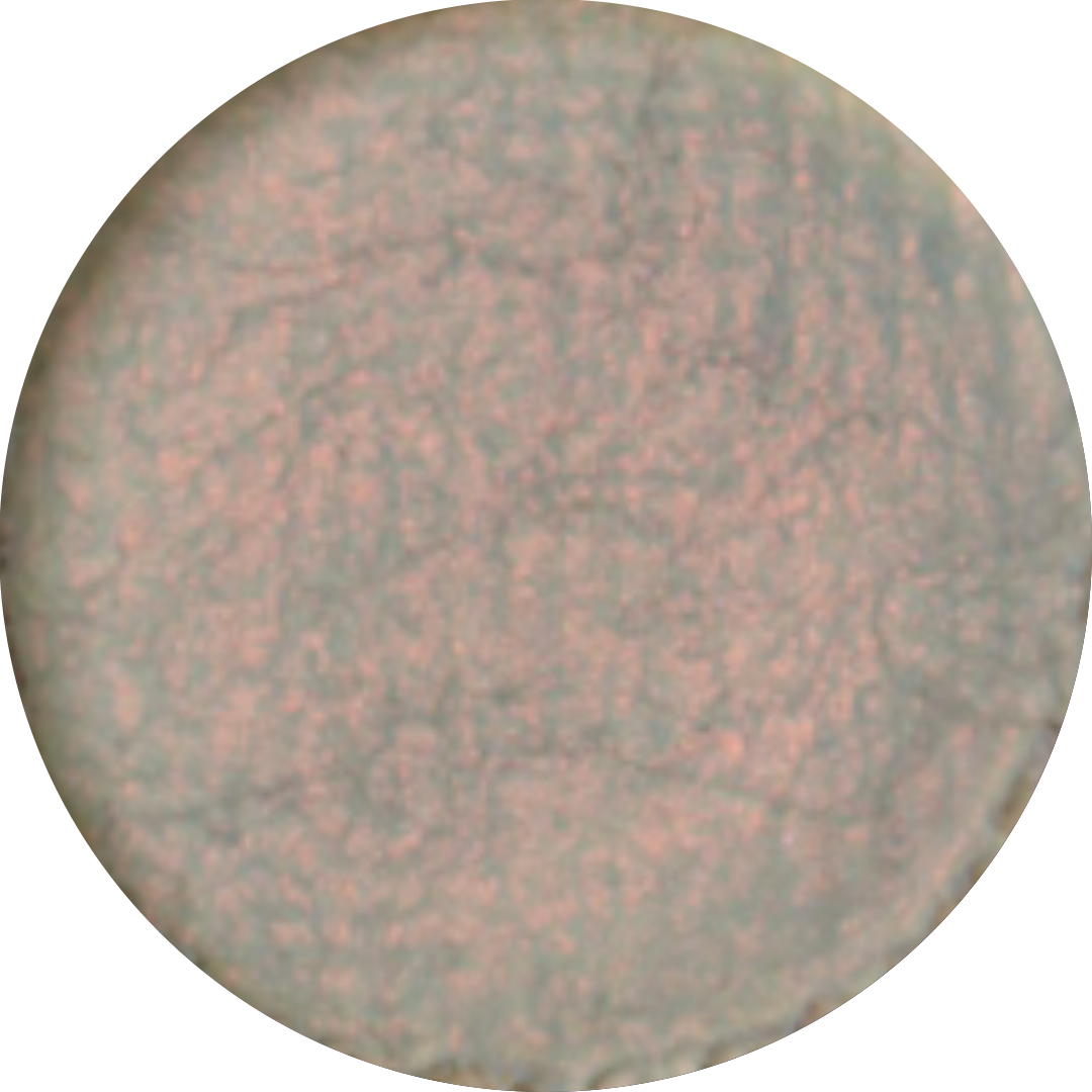 Moon Water Liner Palette Refill Pans