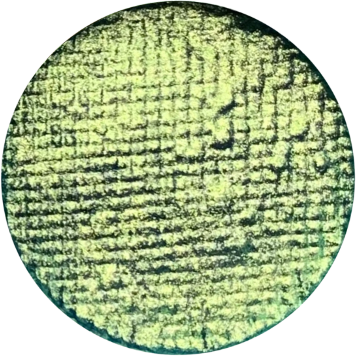 Moon Water Activated liner by HoloGrave Cosmetics
#SHADES_Patina,Patina (Duochrome),Patina (Chromatic)