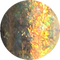 Mushroom Magic