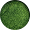 Serpent (Metallic Shimmer)